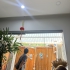 Sản phẩm đẹp, giá hợp lý